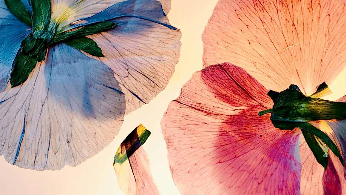Multicultural Wedding Flowers