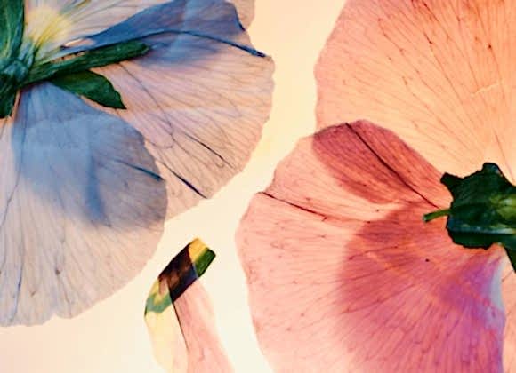 Multicultural Wedding Flowers