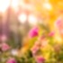 Opening A Flower Shop – Florist Tips