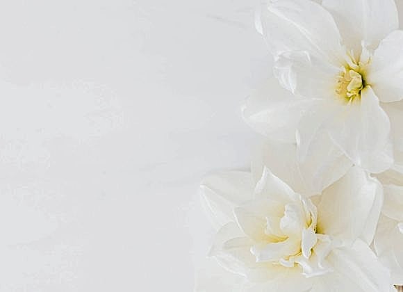 Every Florist Should Sell In 2017