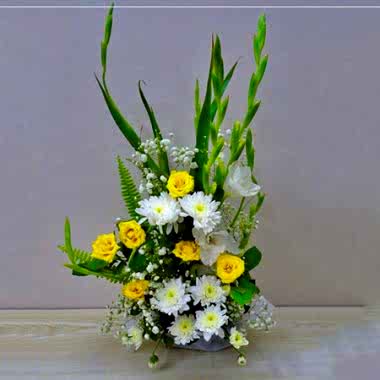 Simplina Yellow
