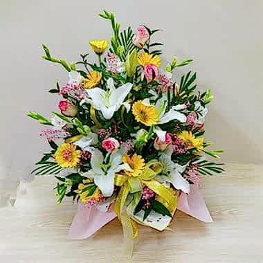 Fiesta De La Flora