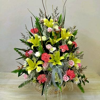 Lily Burst