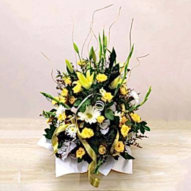 Amazed Yellow