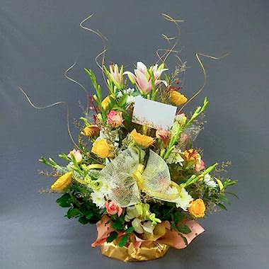Yellow Cheers